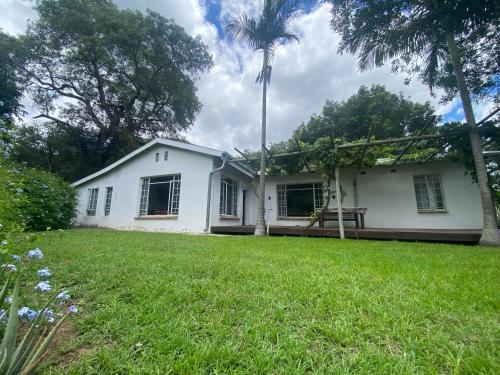 a white house with a palm tree in the yard at Kruger Park Farmstay near Orpen Gate in Hoedspruit