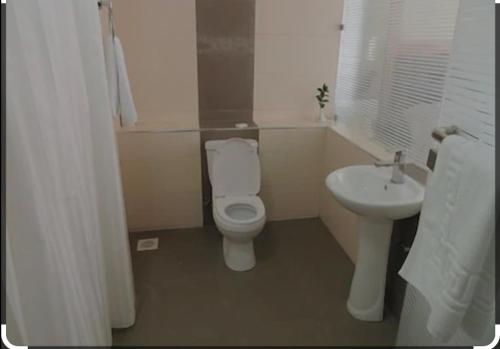 ein Bad mit einem WC und einem Waschbecken in der Unterkunft EL ELOLO Hotel in Dzake