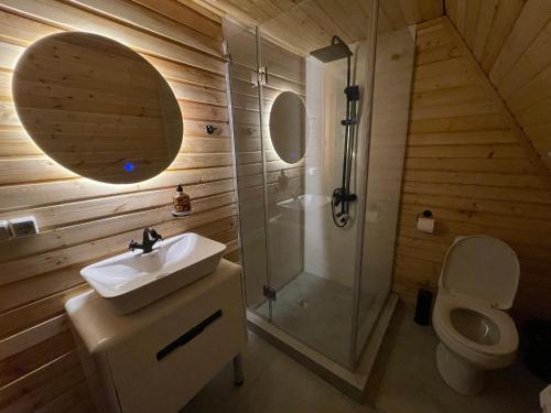 y baño con aseo, lavabo y ducha. en Private Cottage in Tbilisi Area - Napetvrebi Hills en Mskhaldidi