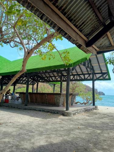 a pavilion with a green roof next to the water at Eagle Point Beach and Dive Resort in Mabini