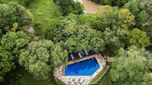 an overhead view of a swimming pool in a forest at Olare Mara Kempinski in Talek