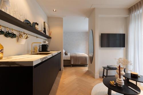 a kitchen with a sink and a counter top at Suite Heiloo in Heiloo