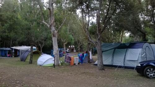 un grupo de tiendas de campaña en un campo con árboles en Camping Ulisse Calabria en Lamezia Terme