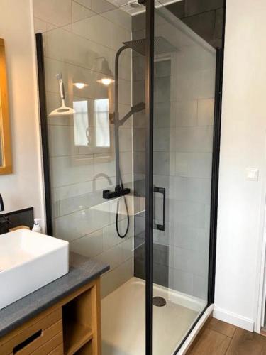 une douche avec une porte vitrée à côté d'un lavabo dans l'établissement La Lezardiere a deux pas des quais, à Les Sables-dʼOlonne