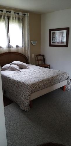 1 dormitorio con 1 cama grande en una habitación en Valérie GOUFFÉ, en Parigné-lʼÉvêque