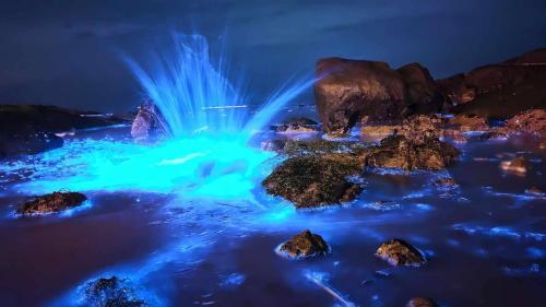 a fountain lit up at night with blue lights at B&B of Blueshine in Beigan