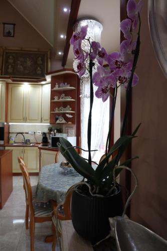 a table with a potted plant in a kitchen at Barackos Wellness Villa Fót in Fót