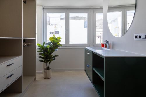 eine Küche mit einer Spüle und einer Topfpflanze in der Unterkunft Luminoso ático en el centro in Santa Cruz de Tenerife