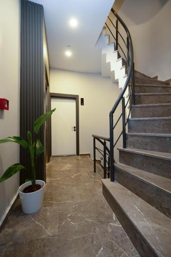 a hallway with stairs and a plant in a pot at Swans Hotel Old City Grand Bazaar in Istanbul