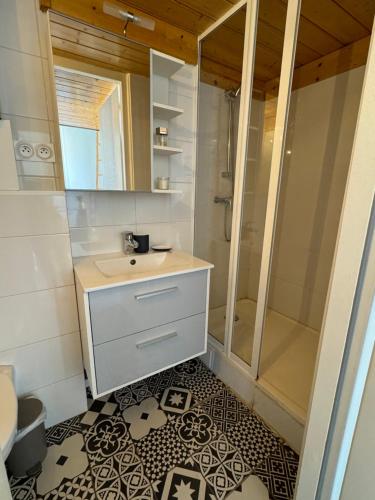 ein Bad mit einem Waschbecken und einer Dusche in der Unterkunft Studio hypercentre Tassin La Demi Lune in Tassin-la-Demi-Lune