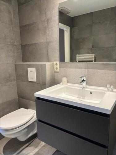 een badkamer met een wastafel, een toilet en een spiegel bij Auberge du Carrefour in Vielsalm