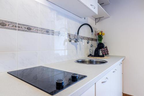 uma cozinha com um lavatório e um balcão em Marisan Seaview Apartment em Funtana