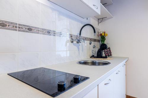 a kitchen with a sink and a counter at Marisan Seaview Apartment in Funtana