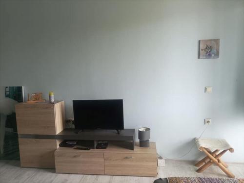 salon z telewizorem na drewnianym centrum rozrywki w obiekcie Central Studio Maritsa w Płowdiwie
