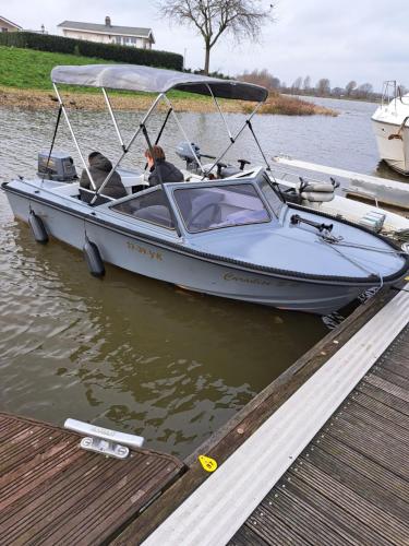 um cão está sentado num barco numa doca em Exceptional house on the waterfront em Reeuwijk