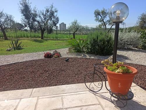 Giardino di Marilù dream house a 800 mt dal mare di Formia