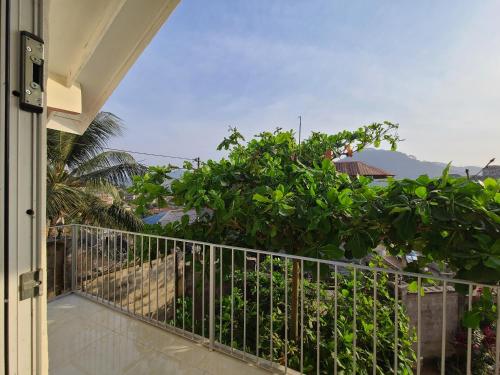 a balcony with a view of a tree at Remarkable 3-Bed House in Freetown in Freetown