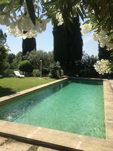 - une piscine dans une cour arborée dans l'établissement Luxury Provencal Villa amidst own vinyards, à Caromb