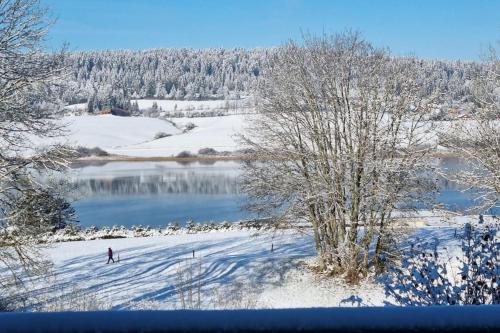 a person skiing in the snow next to a lake at Duplex 6 personnes, vue panoramique sur lac in Malbuisson