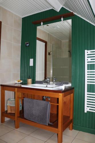 a bathroom with a sink and a mirror at L'autre Monde Chambres D'hôtes in Faverolles
