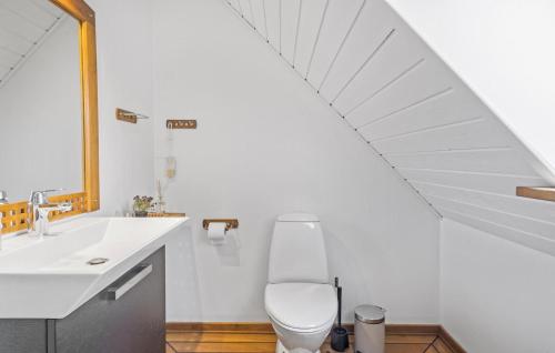 a bathroom with a white sink and a toilet at Pet Friendly Home In Lemvig With Wifi in Lemvig