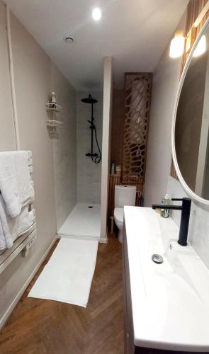 La salle de bains est pourvue d'un lavabo, de toilettes et d'un miroir. dans l'établissement L'Elégant, à Le Petit-Quevilly