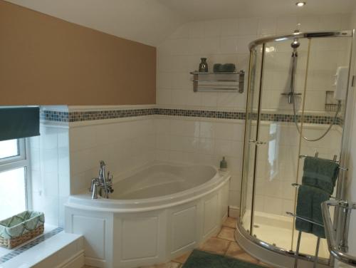 a bathroom with a large tub and a shower at Private Quay, Balcony, Sea Views, Free Parking in Pembrokeshire