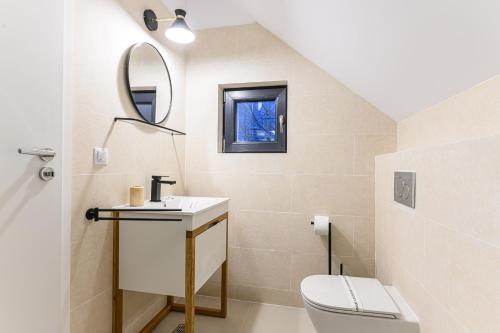 a bathroom with a sink and a toilet and a mirror at Doftana Lake House in Teşila