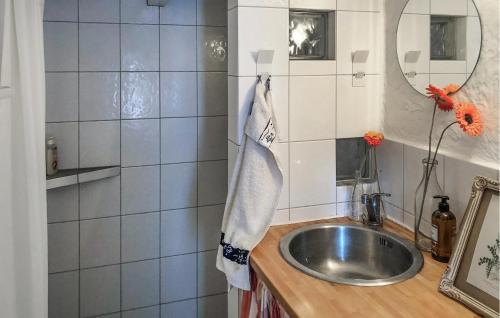 GärsnäsにあるStunning Home In Grsns With Wifiのバスルーム(洗面台、鏡付)