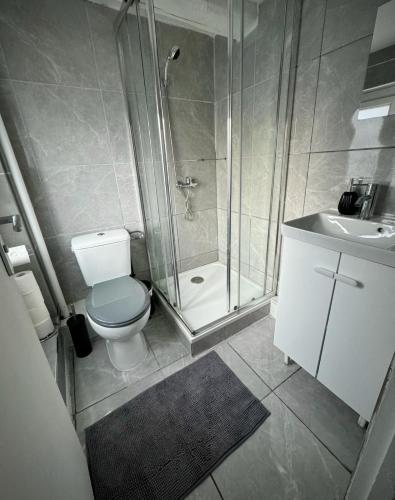 y baño con ducha, aseo y lavamanos. en Charmant Duplex proche de Paris en Saint-Brice-sous-Forêt