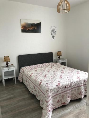 1 dormitorio con 1 cama y 2 mesitas de noche en Maisonnette en ville, en Montargis