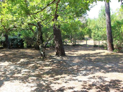 Photo de la galerie de l'établissement Villa landaise avec jardin proche plages et commerces, 3 chambres, terrasse couverte et barbecue - FR-1-736-10, à Lège-Cap-Ferret