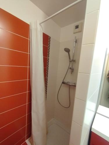 a shower with a shower curtain in a bathroom at BEAU APPARTEMENT in Suresnes