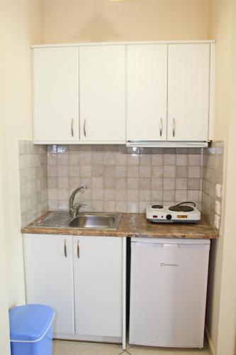 Η κουζίνα ή μικρή κουζίνα στο Studios&apartments Thomas