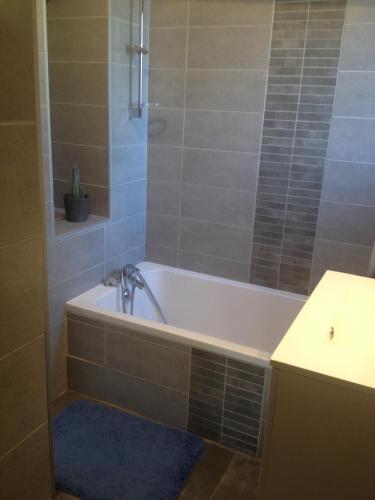 La salle de bains est pourvue d'une baignoire, d'un lavabo et d'un comptoir. dans l'établissement Maison en bois Les Dryades, à La Colle-sur-Loup