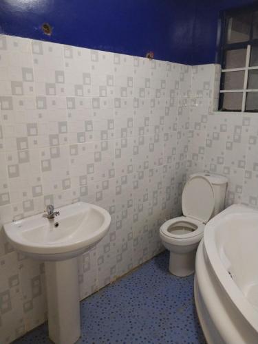 La salle de bains est pourvue d'un lavabo et de toilettes. dans l'établissement Radisson Villa, à Kisumu