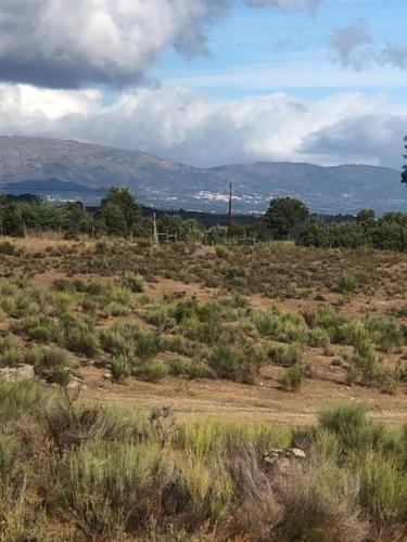 a field with bushes and trees in the distance at 3 Marias São Sebastião in Lousa