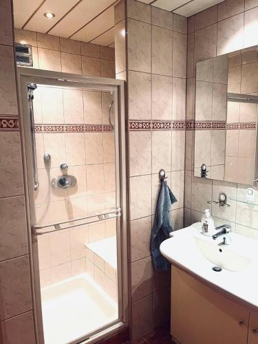 a bathroom with a shower and a sink at Apartment Gisela in Hopfgarten im Brixental