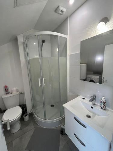 une salle de bain avec une douche, des toilettes et un lavabo dans l'établissement Le garden cottage 20m² 2 personnes, à Flers-lez-Lille