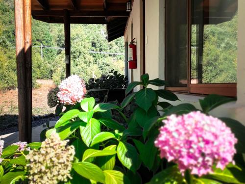 a bunch of pink flowers in a window at Tumuñan Lodge in El Llano
