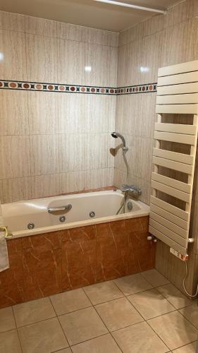 une baignoire avec un robinet dans une salle de bain dans l'établissement Villa, centre-ville, Paris, Disneyland, Ascenseur, Parkings, à Nogent-sur-Marne