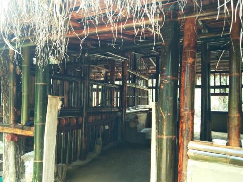 an inside view of a building with bamboo at VIMAANAYA Cabana & Restaurant in Badulla