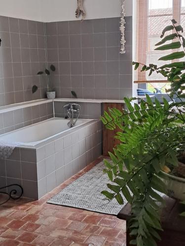 - Baño con bañera y planta en Chez Estelle Le SOL en Tourouzelle