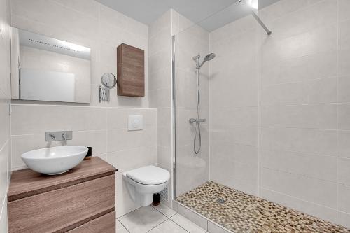 une salle de bain avec une douche, des toilettes et un lavabo dans l'établissement T2 Bord de Garonne hypercentre terrasse + Parking, à Toulouse
