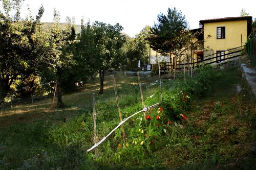 a garden with a fence and some flowers at B&B Podere Bramapane in Montelungo Superiore