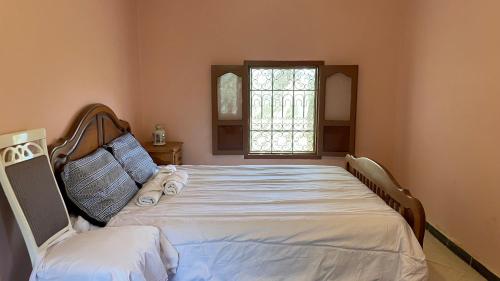 a large bed in a bedroom with a window at Atlasunsea - Riad de l’Atlas in Imoulass