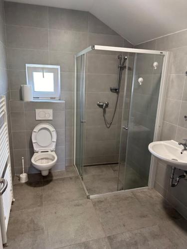 a bathroom with a shower and a toilet and a sink at Přítluky horní Ze dvora in Břeclav