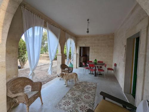 un chien debout dans un salon avec une table dans l'établissement 3 bedroom country villa with 2 large verandas, à Torre Ovo