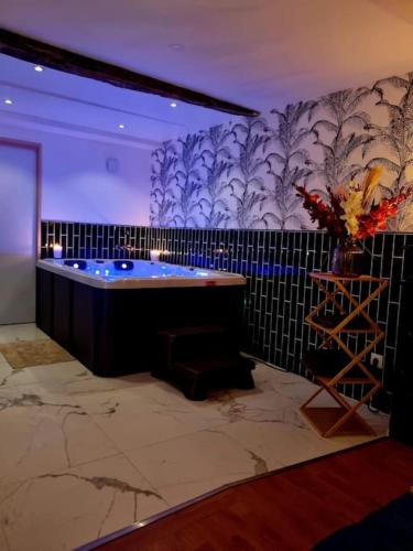 Romantique room St Michel de Lanes (love room)