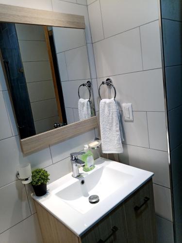 ein Bad mit einem Waschbecken und einem Spiegel in der Unterkunft Cómodo y acogedor apartamento in Mendoza